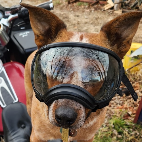 Visit sayoung's profile on GETTR. View their posts, photos, videos, and connect with them on the social platform.