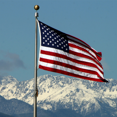 Bio?    Biological MALE