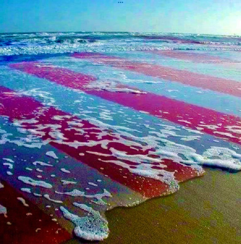 Siren 🇺🇸🇸🇰🇲🇳🇹🇷 on GETTR - Profile and Posts on GETTR