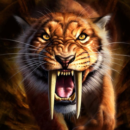 Texas Gal Defending My American Constitutional Rights. Under God W Liberty & Justice For All. #DigitalSoldier #TakeTheOa...