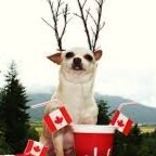 Sounds a lot like Justin Trudeau eh Canada🍁
Same aggressive language. Same twisted agenda. 

#HoldT...