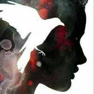 Les enfants torturés, ce monde détruit, le gout de la liberté font que je suis ici pour informer de mon mieux des évènem...