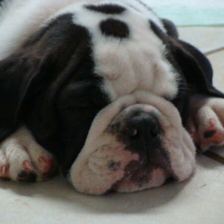 "If I live, and I think I will, I'll be going back to Jacksonville." -R. Perry Sentell, Jr.