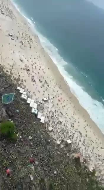 Brasil🇧🇷Desperto✨
−part.3−
何百万人ものブラジルの人々と軍隊が製薬ファシズムと戦っています!!!✨
COVID Pharma Terrorに対して、そして自由のために戦っ...