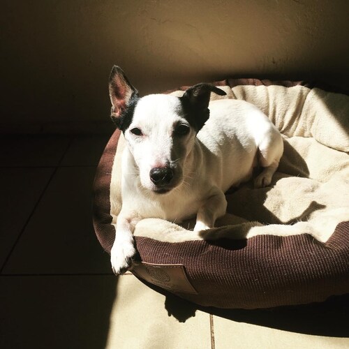 I stand for freedom, I am a loud and proud Trump supporter and the America First Movement. Let's Save America in 2024, b...