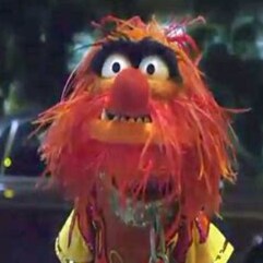 Retired USN, Unapologetically Proud of U.S.A.