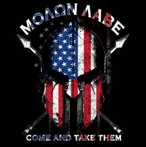 "A well regulated Militia, being necessary to the security of a free State, the right of the people to keep and bear Arms, shall not be infringed." - US Consitution 2nd Ammendment Rights!