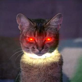 The government wants to kill us. 