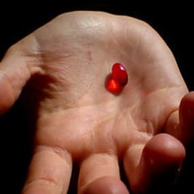 Visit UltraMAGA sizzler 🍊🌶️🧨🌭🌵's profile on GETTR. View their posts, photos, videos, and connect with them on the social platform.