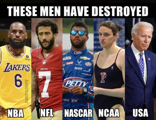 Repost if you agree that these clowns are purveyors of divisiveness for personal gain in America!! @...