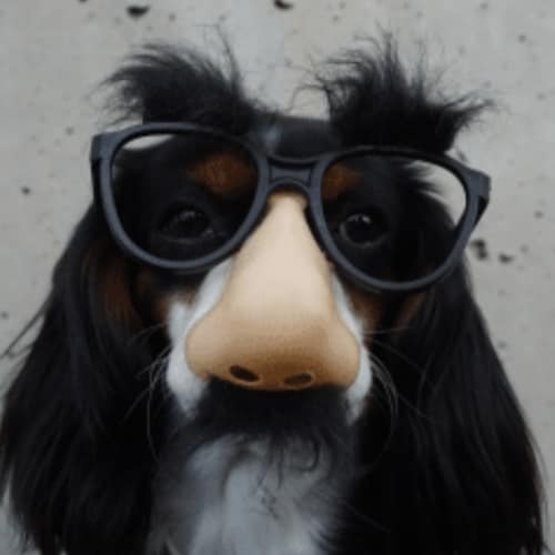 Visit Elle_miichele's profile on GETTR. View their posts, photos, videos, and connect with them on the social platform.