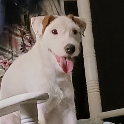 Visit Seek the truth's profile on GETTR. View their posts, photos, videos, and connect with them on the social platform.