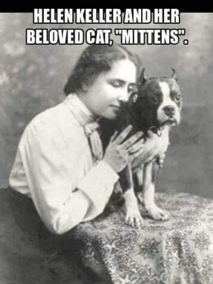 RT @RealMattCouch: I’ve been working hard to make more non political and happy posts! America you ar...