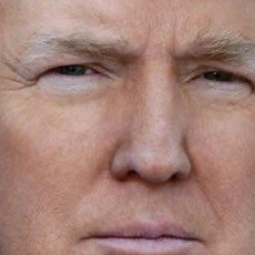 InGodWeTrust🇺🇸Pro-Life🇺🇸AmericaFirst🇺🇸TrumpWon🇺🇸Fraudulent2020Election🇺🇸Followed by: Tucker Carlson🇺🇸 #SaveA...