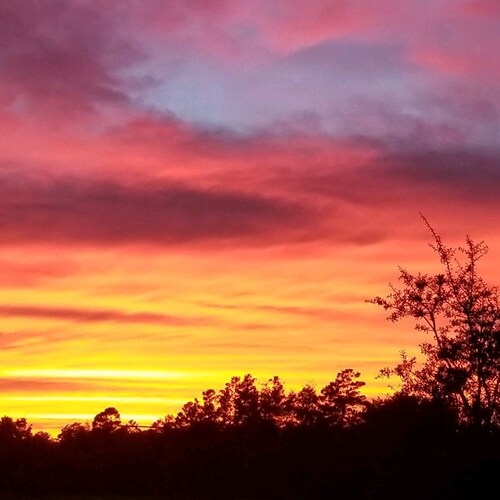 Visit RHPONE's profile on GETTR. View their posts, photos, videos, and connect with them on the social platform.