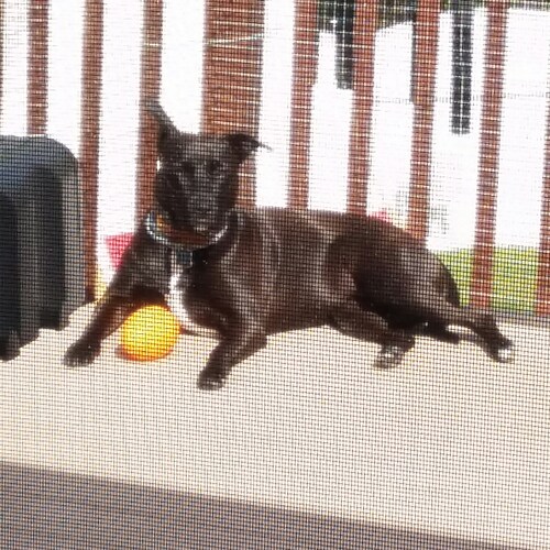 Visit MadnessInc's profile on GETTR. View their posts, photos, videos, and connect with them on the social platform.