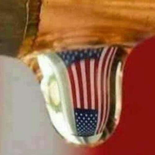 MAGA, America 1st, behind enemy lines letter carrier. Trump WON!