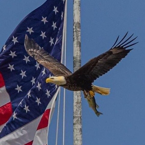 You only have one life…live it! ❤️🇺🇸💙
