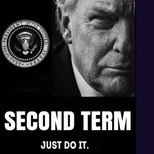 🇺🇸Take our country back, free&fair elections, defend our borders, Rule of Law, gratitude for our military🇺🇸🙏🏻, sav...