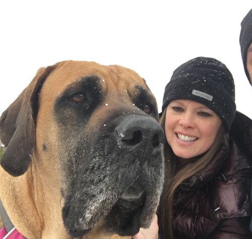 Constitution and freedom loving Christian; Pro-life 
NRA member, 2A supporter 
Back the blue and ❤️ our military;
Doggie...