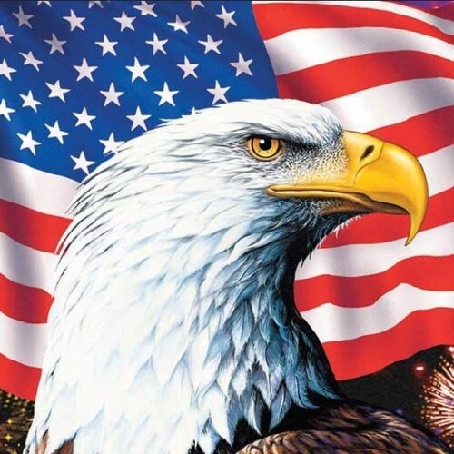 I am a Christian who Loves our Country, I Stand for our Flag 🇺🇸, Support our Military and Law Enforcement #Backtheblue...