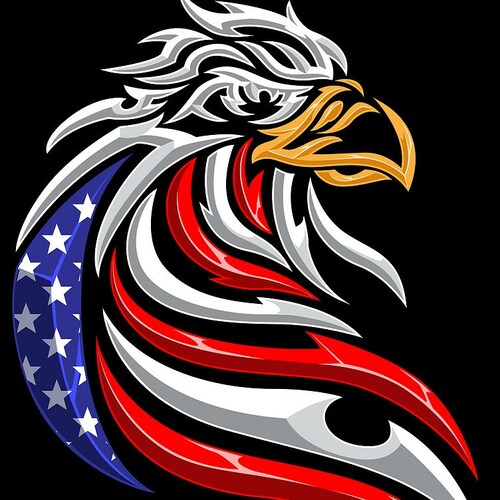 Conservative/Trump is my president. Catholic, Pro-Life./Married.