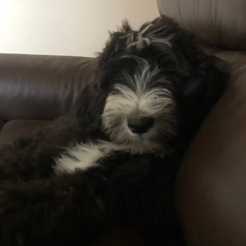 Jesus follower &lt;&gt;&lt;