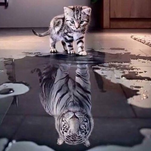 “Let Not Your Heart Be Troubled”