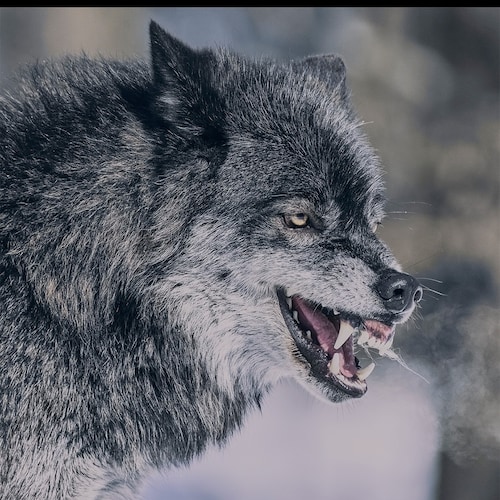 Visit ATF113's profile on GETTR. View their posts, photos, videos, and connect with them on the social platform.