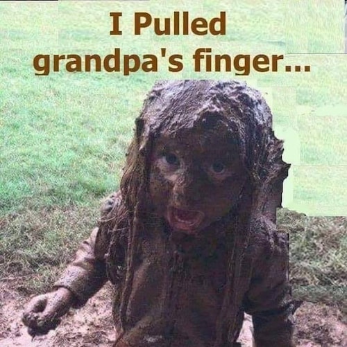 anti fake ☠️ retrumplican 🍊player of drums 🥁 live long and prosper 🖖 pure blood 🩸 jesus is my savior 🙏 i honk for F...