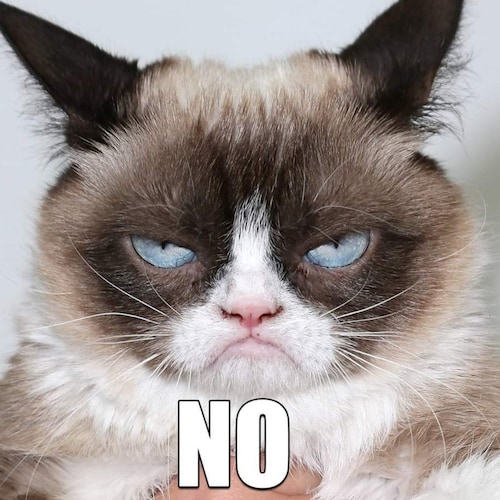 I like rattling cages, get ready for the memes, permanently banned from Twitter.
I follow back