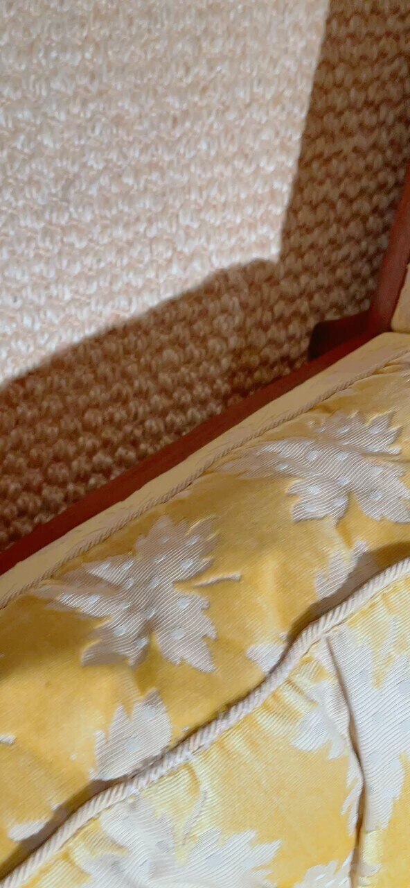 11月15号：应战友们的要求……发一个SNOW 的小视频🤪