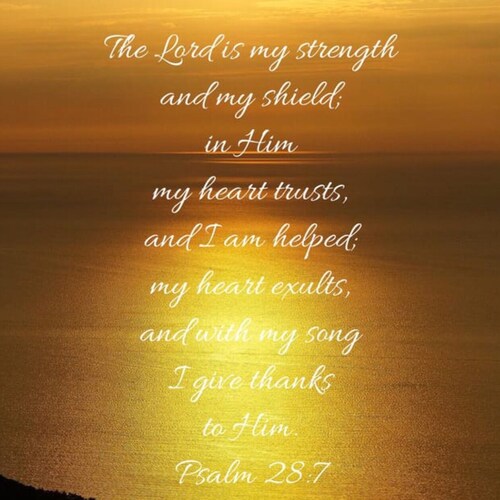 Visit AnnJacobs's profile on GETTR. View their posts, photos, videos, and connect with them on the social platform.