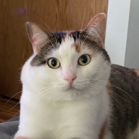 Air Force, Army and Marine mom!
Proud American, Christian and Conservative!!
God Bless America
🇺🇸🇺🇸🇺🇸🇺🇸🇺🇸🇺🇸�...