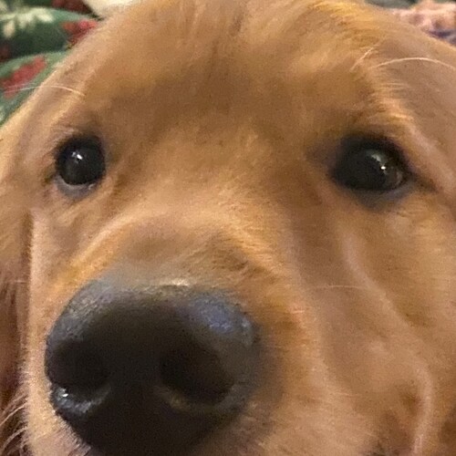 #MAGA Trump won! IFB 99% off all patriots. The 1% I don’t follow already knows why.

Nothing can be fixed until the 2020...