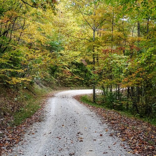 Christian, Wife, Mother, Grandmother, Retired Teacher, and Realist.