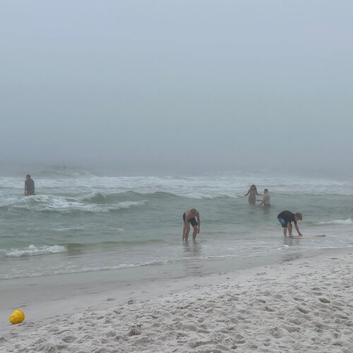 Groupthink bad - keep an open mind - Trump won - toxic masculinity is why we are free - pronoun - grow a pair