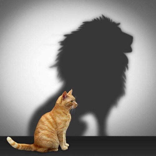 mom wife sister animal lover