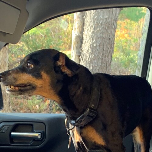 under the more section please add troll to the line items to help weed them out faster, thank you!