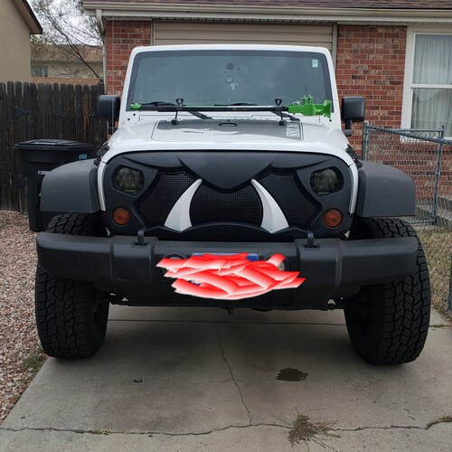 Navy veteran, med student, mom of 6, Patriot that doesn't trust her government but LOVES her Country!