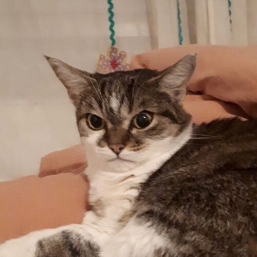 Political Refugee shocked at the state of the world. No matter what side you are on you should be anti censorship.