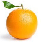 🍊