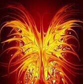 Maga Trump won ! no liberals please