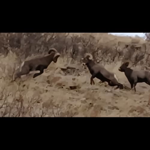 "Only a virtuous people are capable of freedom. As nations become corrupt and vicious, they have more need of MASTERS"
B...