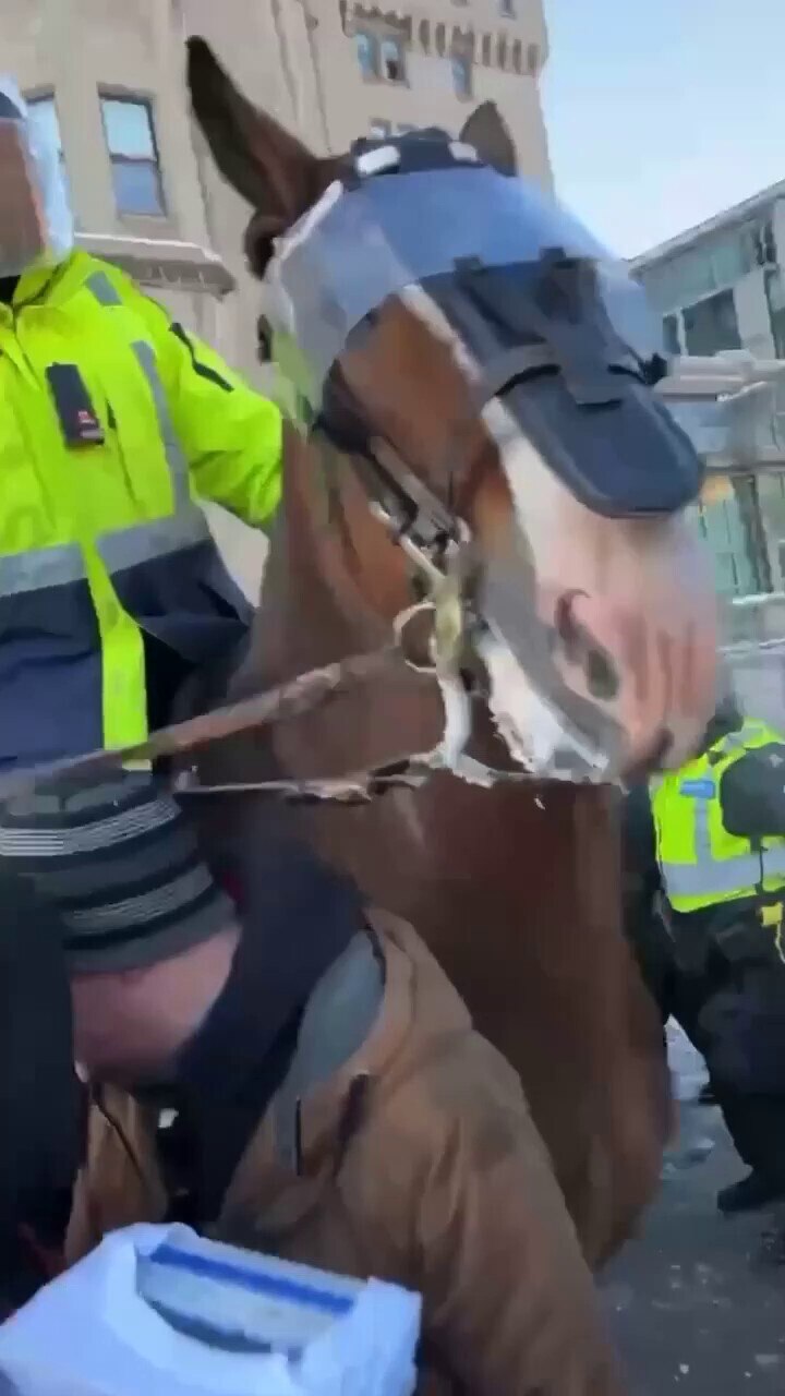 Ottawa police on horseback trample on a woman as they push through. 🤬🤬🤬
Is there any end to this WEF psychopaths tyranny???
There is not crime they would not do to achieve their CCP-China-like Techo Control Revolution which nobody wants and nobody asked for!