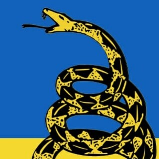 British/American right leaning libertarian who just want's to be left the hell alone by the government.