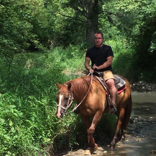 Michigan MAGA. 

Trump won. 

Let’s go Brandon.
