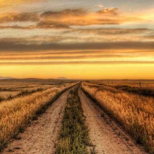 Visit Quietus's profile on GETTR. View their posts, photos, videos, and connect with them on the social platform.