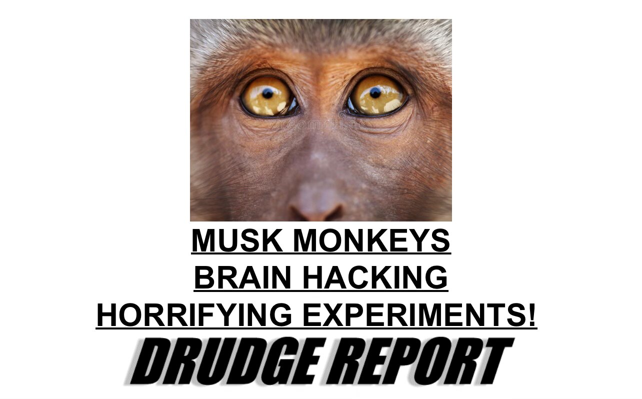“And I saw when the Lamb opened one of the seals, and I heard, as it were the noise of thunder, one ...