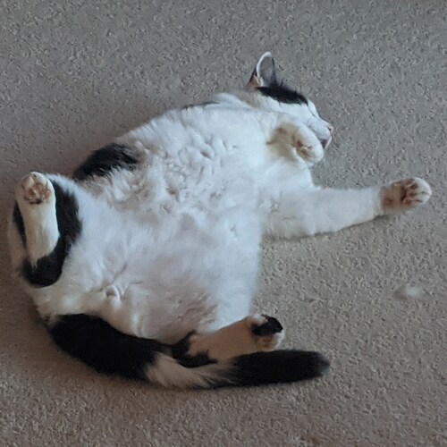 Worked in private sector, retired from government where  it was easier work for just as much pay or more.  Engineer who ...